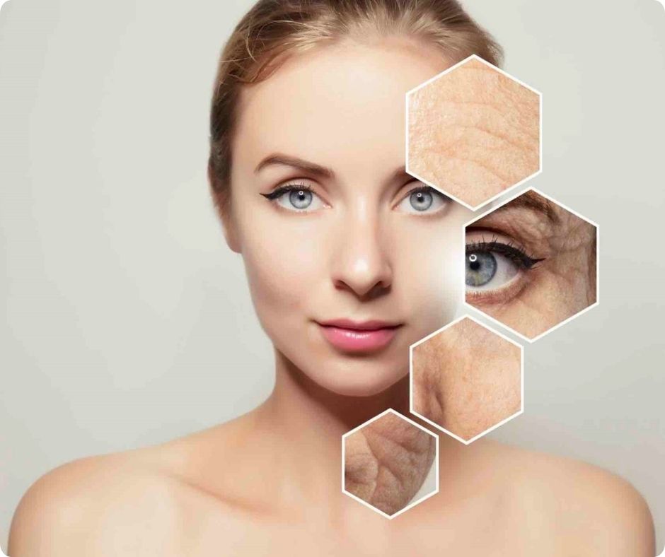 Để đạt được hiệu quả chống lão hóa tối ưu cho da, việc thường xuyên sử dụng kem dưỡng ẩm chất lượng cao là một bước không thể thiếu